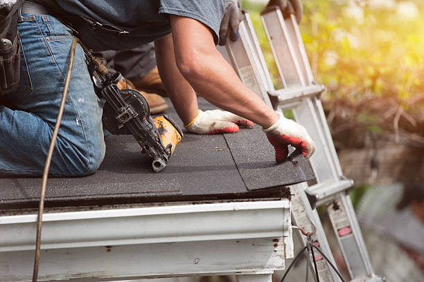 Best Gutter Installation and Roofing  in Fannett, TX