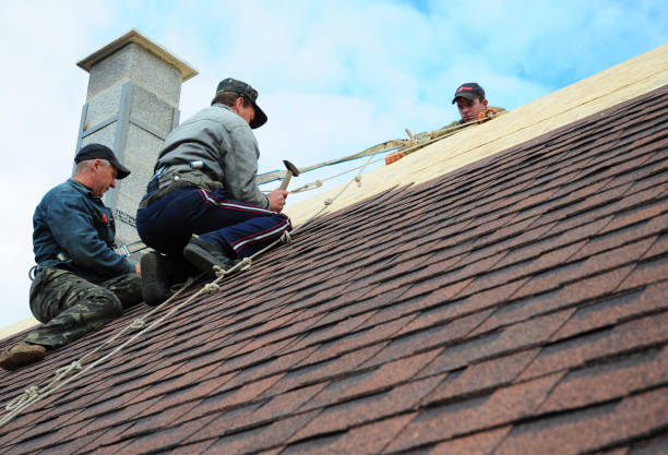 Best Roof Maintenance Services  in Fannett, TX